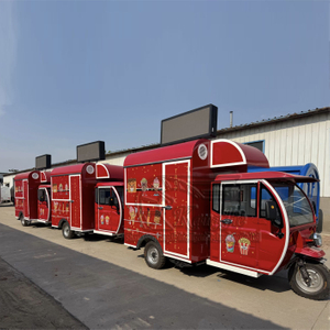 Tricycle Food Cart