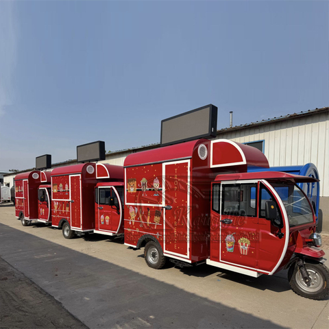 Tricycle Food Cart